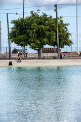 Fototapeta na wymiar fuente lago en la plaza de españa de santa cruz de tenerife
