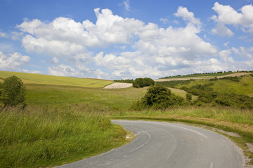 Naklejka premium curving valley road