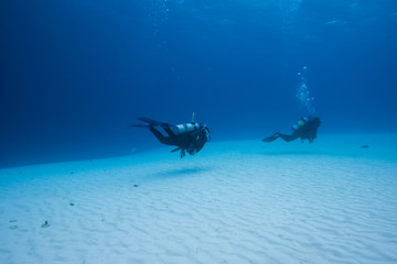 砂地を泳ぐダイバー
