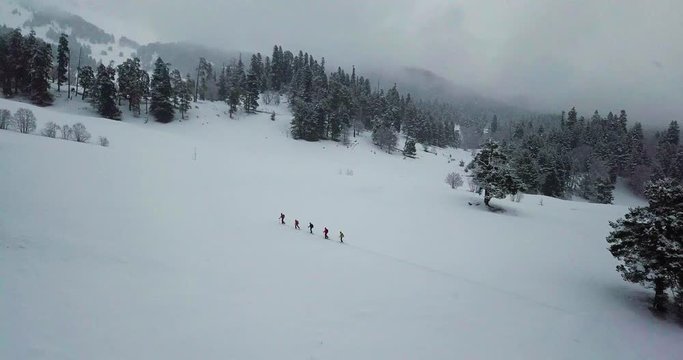 Men are skitouring in deep snow forest