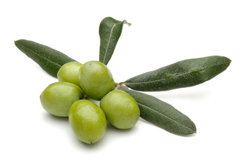 Olive