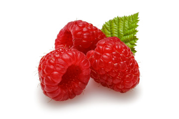 Red raspberry