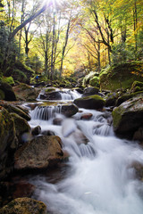 Belles couleurs d'automne dans les pyrénées