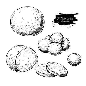 Mozzarella cheese vector drawing. Hand drawn round piece with baby mozzarella