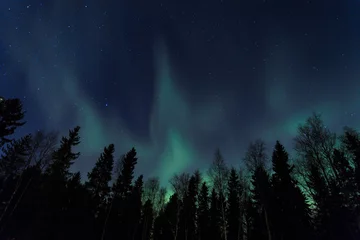 Fototapeten Nordlichter in Oulu Finnland © Dennis