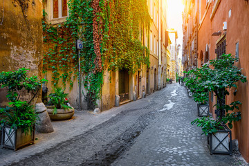 Fototapeta na wymiar View of old cozy street in Rome, Italy