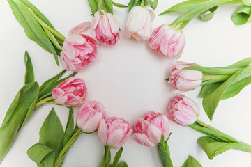 Pink tulips flatlay on the marble background with copy space