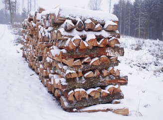 Birkenholz im Winter - Kuschelige Wärme für den Kaminofen