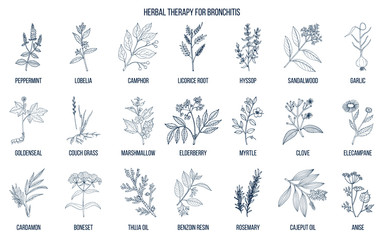Herbal therapy for bronchitis - obrazy, fototapety, plakaty