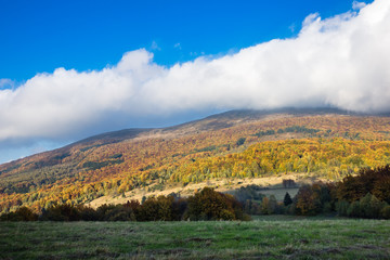 Polonina Carynska in Bieszczady mountains at autumn, Podkarpackie, Poland