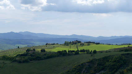 Naklejka premium Volterra, Weingut