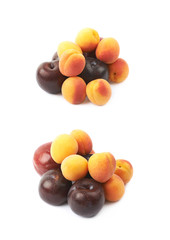 Pile of plums isolated