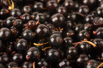 Surface coated with black currant