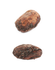Single cocoa bean isolated