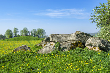 Passage grave with blooming dandelions in a rural summer landscape