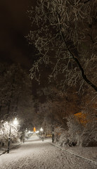 Night winter Ivan Franko park walkway in Lviv, Ukraine