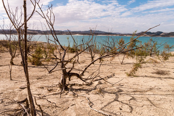 Embalse de la pedrera - See in Andalusien - Spanien - vertrocknete Pflanzen am Ufer