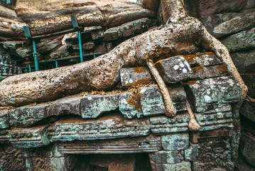 Banteay Kdei temple with silk cotton tree roots in Angkor, Siem Reap, Cambodia.