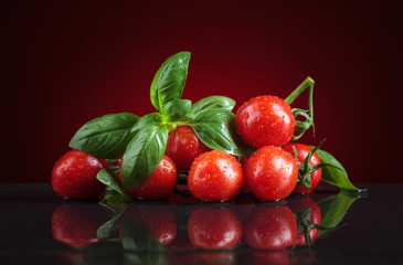 Fresh small tomatoes with basil on a black background.