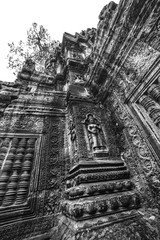 Ta Prohm temple ruins in Angkor, Siem Reap, Cambodia.