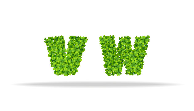 Alfavit from the leaves of the clover. Letters VW.