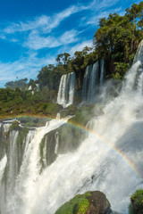 Fototapeta premium Iguazu Falls, Argentina