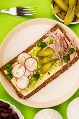 Vegetarian Avocado and Cheese With Radishes and Gherkins Rye Bread Open Faced Sandwich