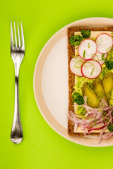Vegetarian Avocado and Cheese With Radishes and Gherkins Rye Bread Open Faced Sandwich