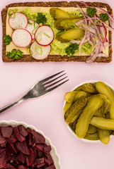 Vegetarian Avocado and Cheese With Radishes and Gherkins Rye Bread Open Faced Sandwich