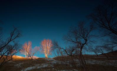 The image of Bashang in Hebei, China