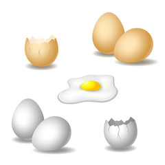 Semi realistic illustration of eggs.  Vector set with eggshell, broken egg and yolk