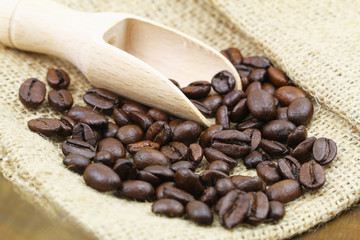 Fototapeta premium Roasted coffee beans on wooden scoop and jute bag 