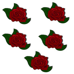 Seamless pattern of rose red