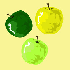 Set of apples on a light background. Vector apple.