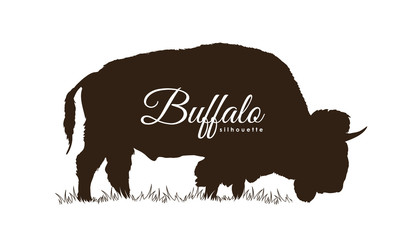 Hand drawn Buffalo Silhouette Isolated on white background © deniskrivoy
