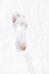 Bare foot footprint on white snow