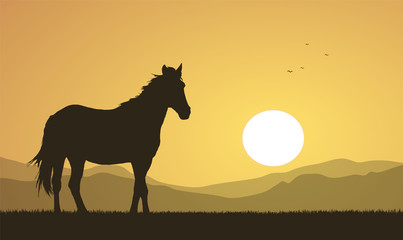 Fototapeta na wymiar Landscape with sunset and horse silhouette.