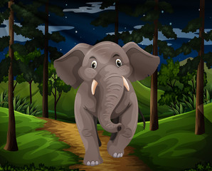 Gray elephant walking in the forest at night