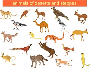 Desert and steppe animals vector big set.