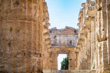 Classical greek temple at ruins of ancient city Paestum, Italy