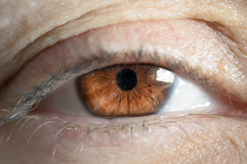 close up tired middle aged caucasian woman brown eye 