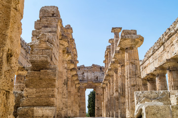 Classical greek temple at ruins of ancient city Paestum, Italy