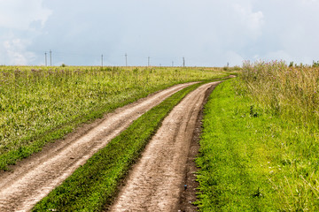 Fototapeta na wymiar Rural dirt road in summer field