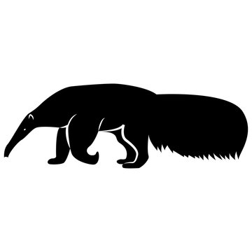 Vector image of a silhouette of a ant-eater on a white background