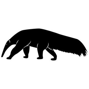 Vector image of a silhouette of a ant-eater on a white background