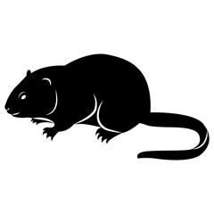 Vector image of silhouette of muskrat on a white background