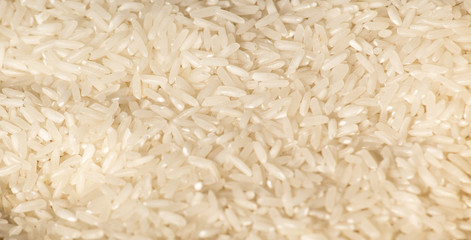 White Vietnamese rice