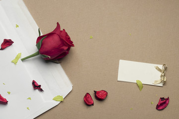 red rose in an envelope on a light brown background
