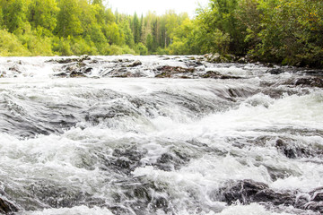 Mountain river with green plants on the shore
