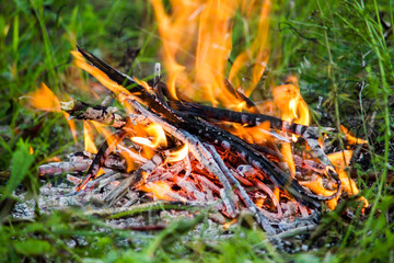 The fire in the green grass. A fire in the woods. Barbecue on the nature, picnic.